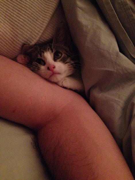 he used to be the smollest of oll